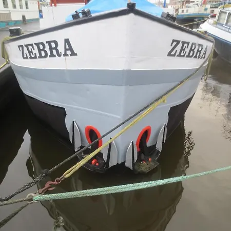 Zebra Амстердам
